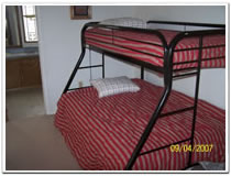 Lodge picture, white tail deer, turkey and upland game birds